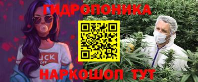 MDMA Краснознаменск