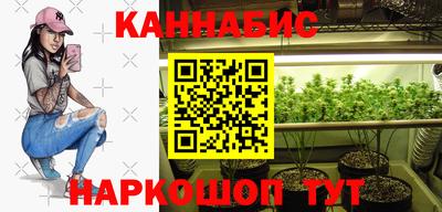 крисы Краснодар