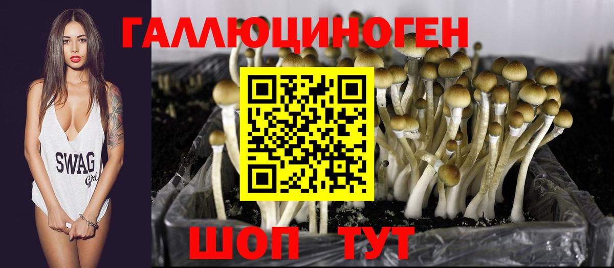 Лабытнанги  Псилоцибиновые грибы Psilocybe  Псилоцибиновые грибы мицелий  Вход с VPN 
